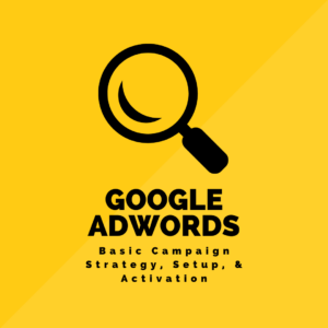 Google Adwords Package (Single)